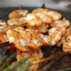 Shrimp Kabos