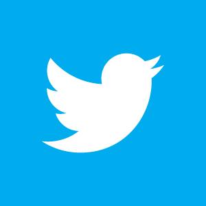 Follow Us @DYAFlava! Twitter Icon